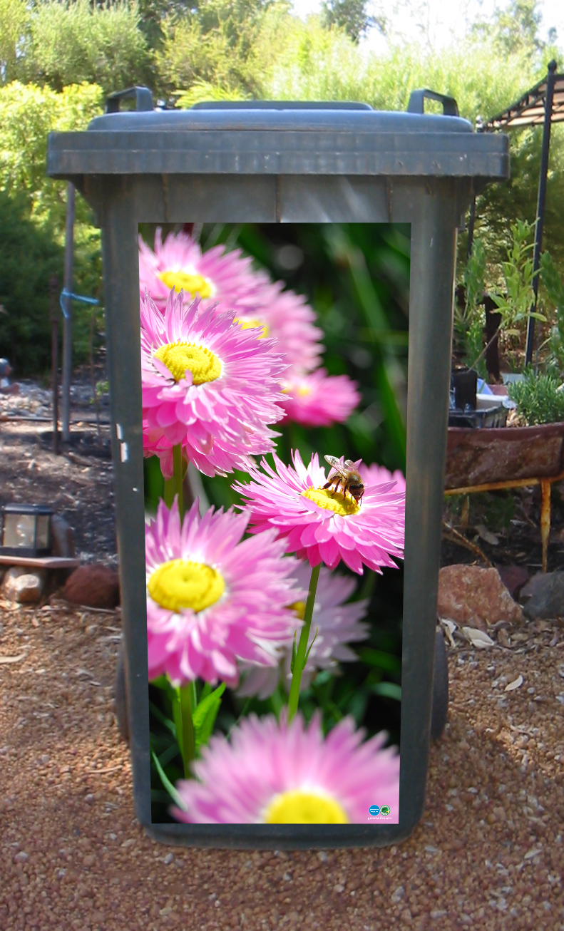 Bee on daisy wheelie bin sticker