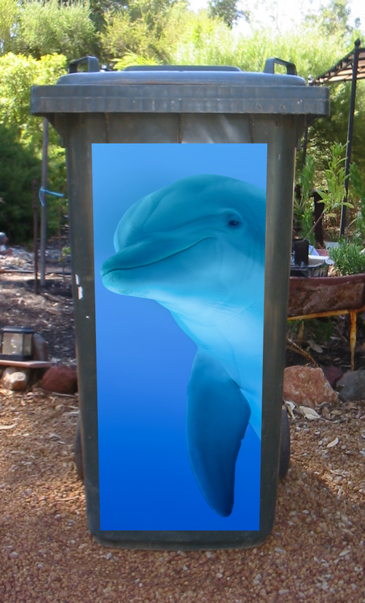 Dolphins wheelie bin sticker