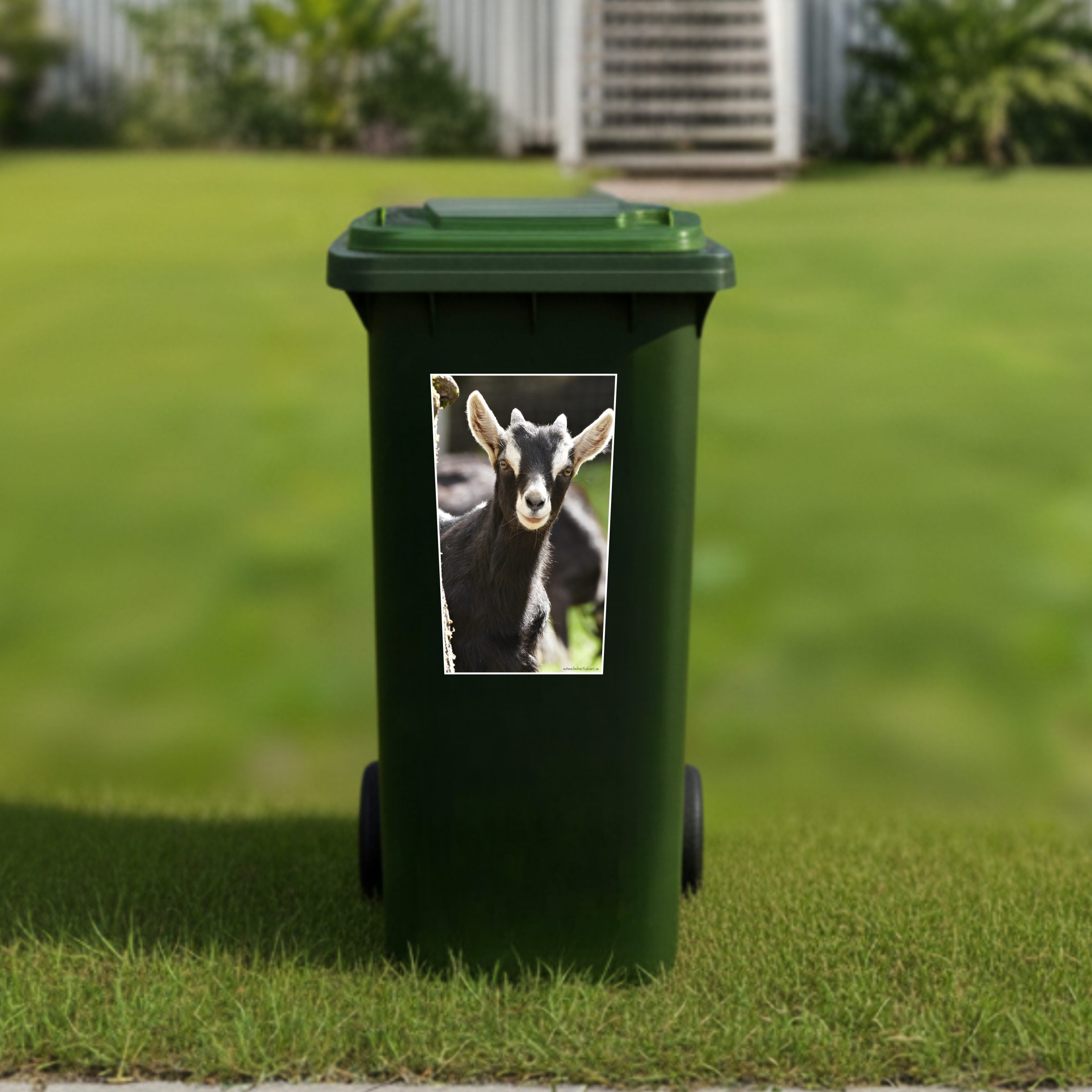 Gday goat wheelie bin sticker