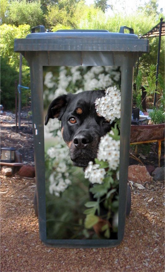 Rottweiler hiding in flowers wheelie bin sticker