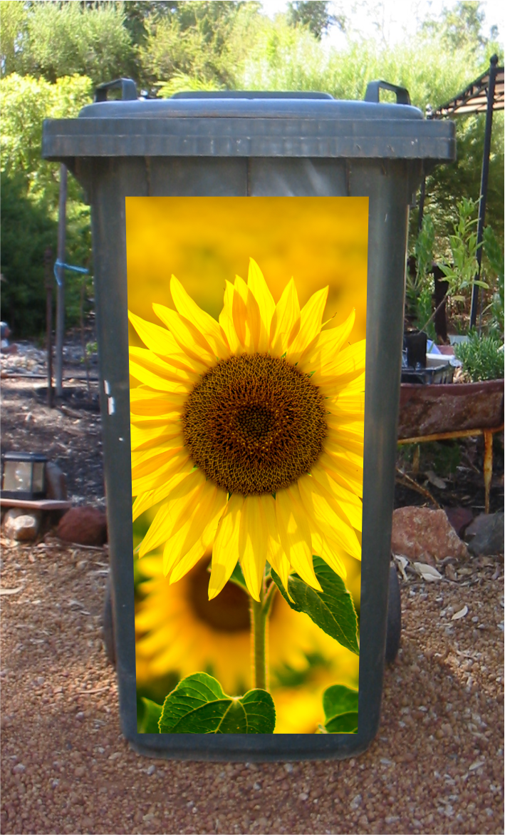 Sunflower wheelie bin sticker