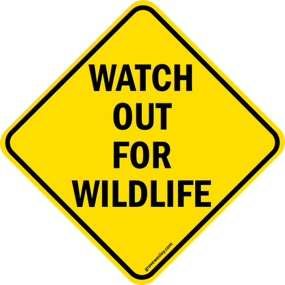 watch wild life diamond stickers
