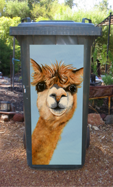 alfthealpaca