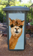 alfthealpaca