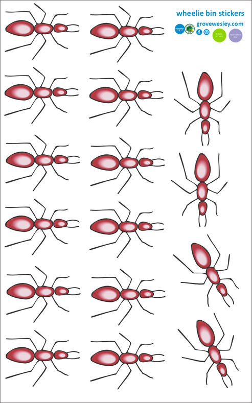 Ants wheelie bin stickers – Grove Wesley Design Art