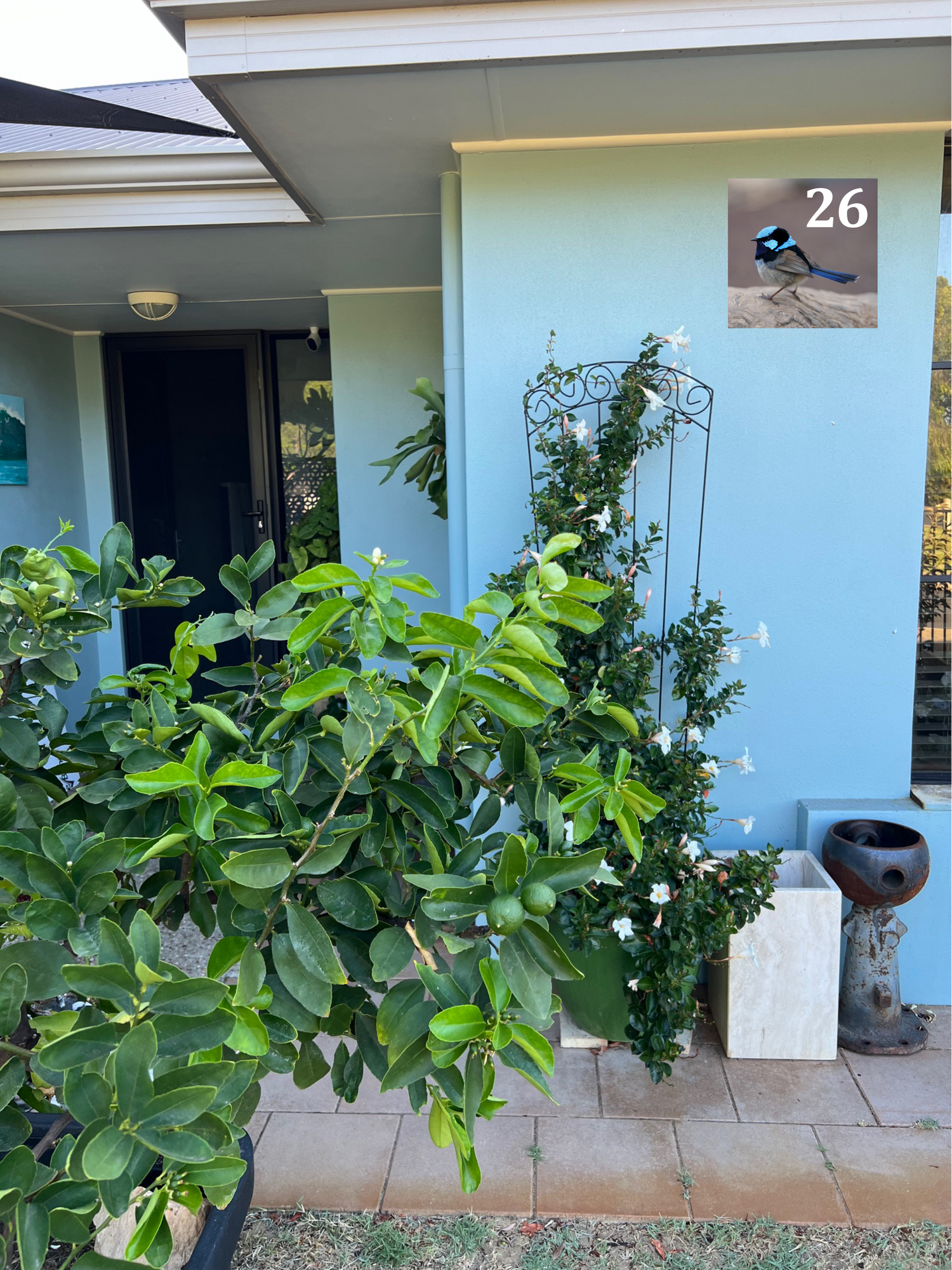 Blue Wren house number panel