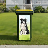 Border Collie wheelie bin stickers Australia featuring realistic dog artwork