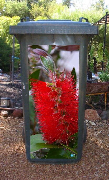 Bottlebrush wheelie bin sticker