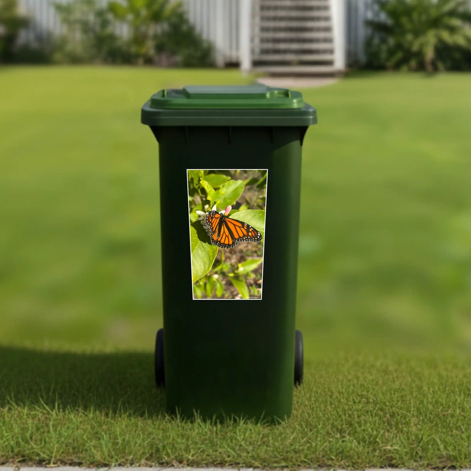 Monarch butterfly wheelie bin sticker