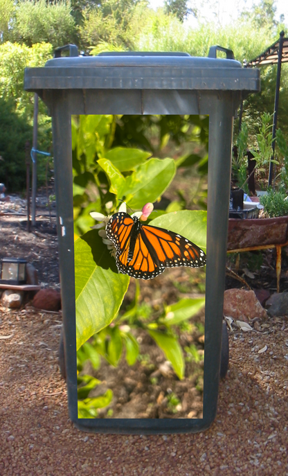 Butterfly wheelie bin sticker