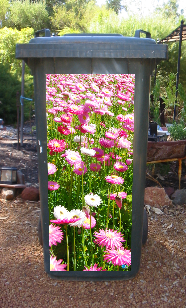 Daisy field wheelie bin sticker