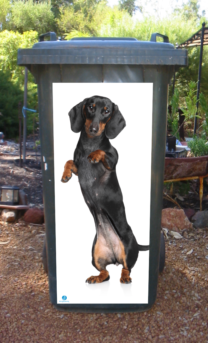 Dashhound wheelie bin sticker