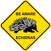 Be aware Echidnas sticker
