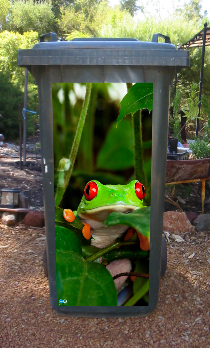 SPECIAL 240 litre FROG wheelie bin sticker