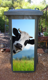 Gyday cow wheelie bin sticker