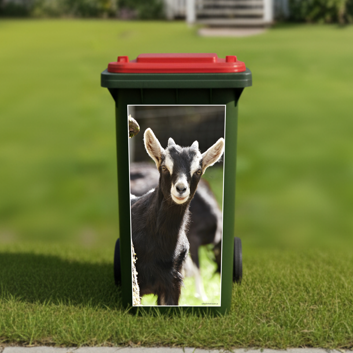 Gday goat wheelie bin sticker