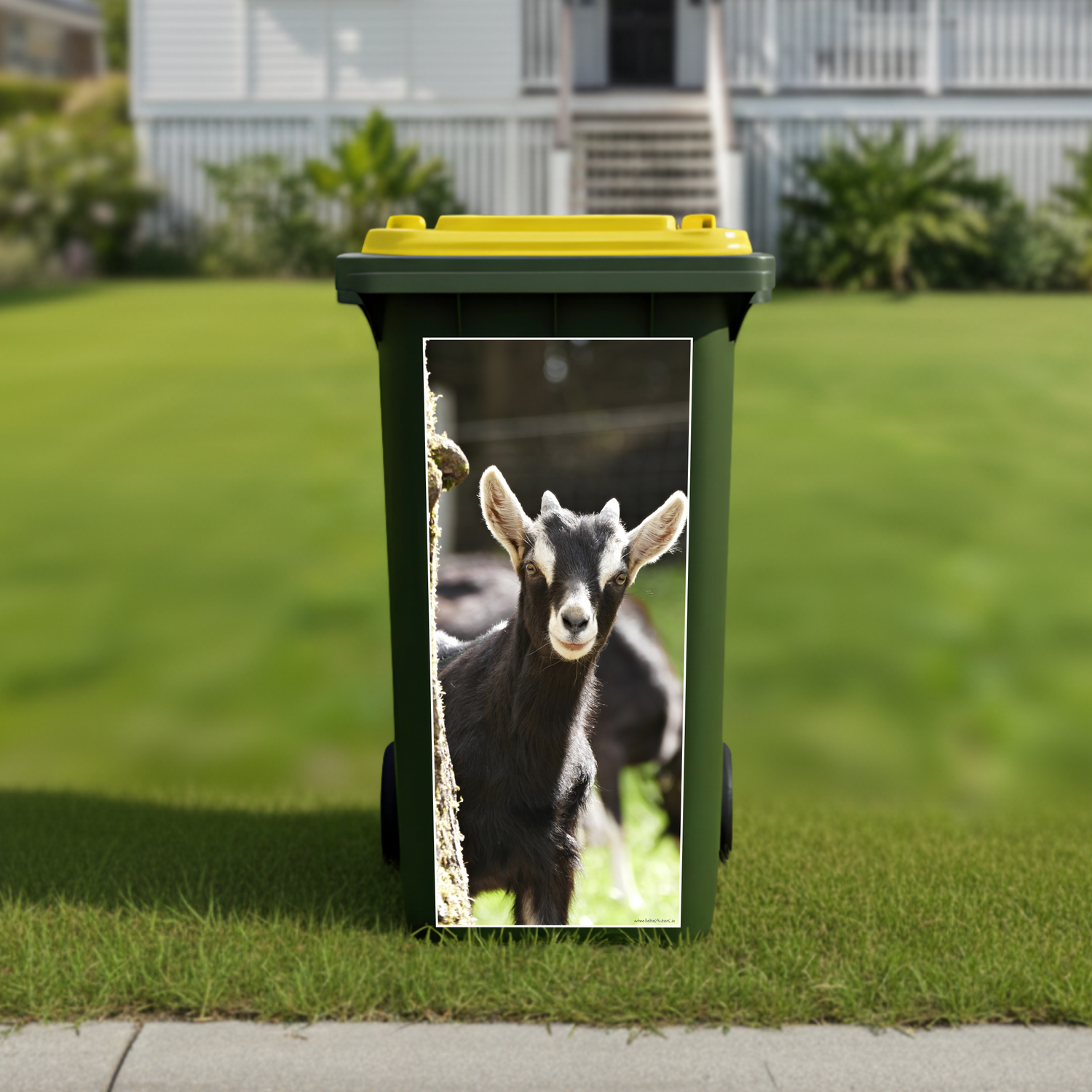 Gday goat wheelie bin sticker