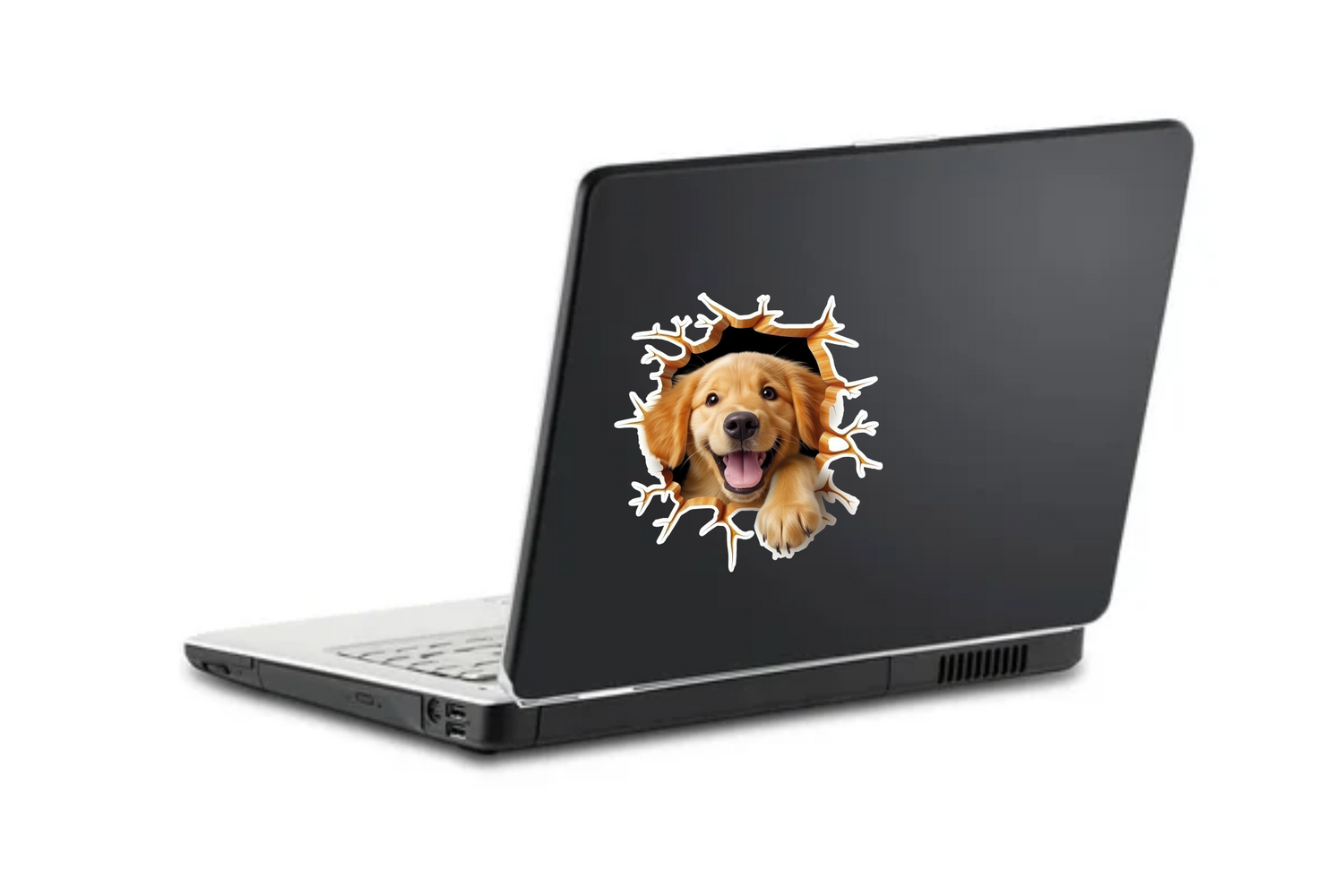 Golden retriever dog &