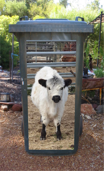 Use your own image wheelie bin sticker