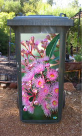Pink flowering gum wheelie bin sticker