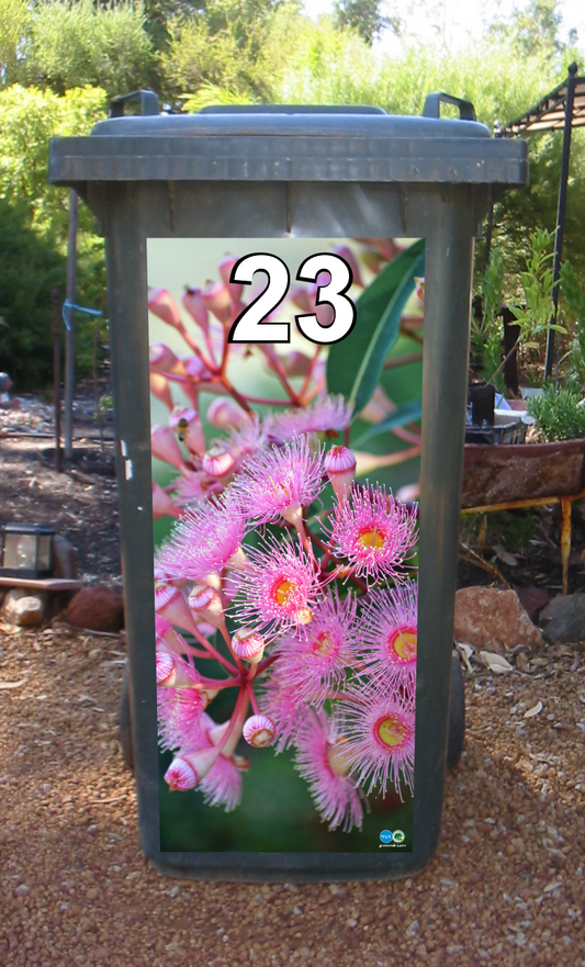 SPECIAL Pink flowering gum 240 litre wheelie bin sticker