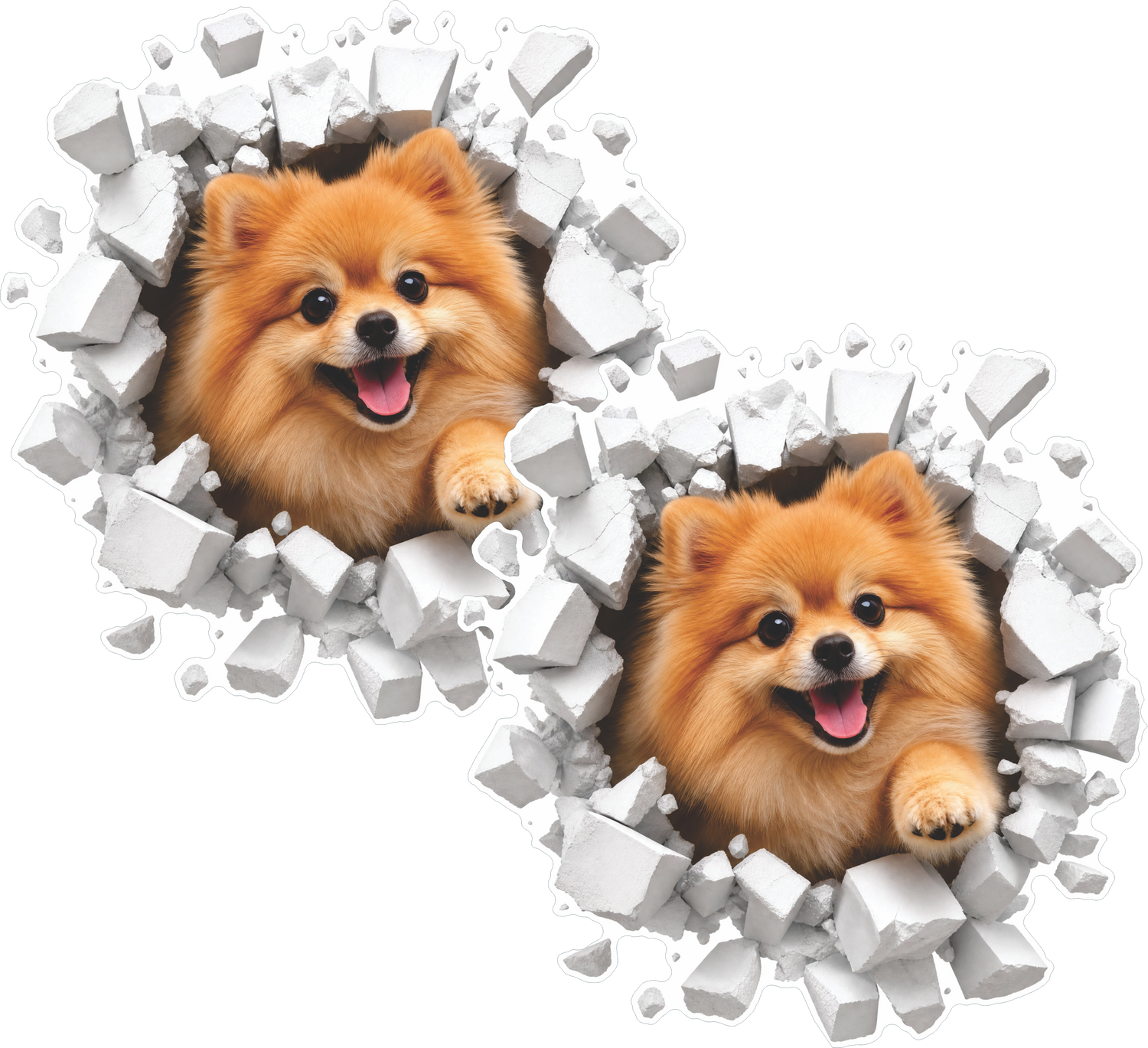 Pomeranian dog breakthrough sticker