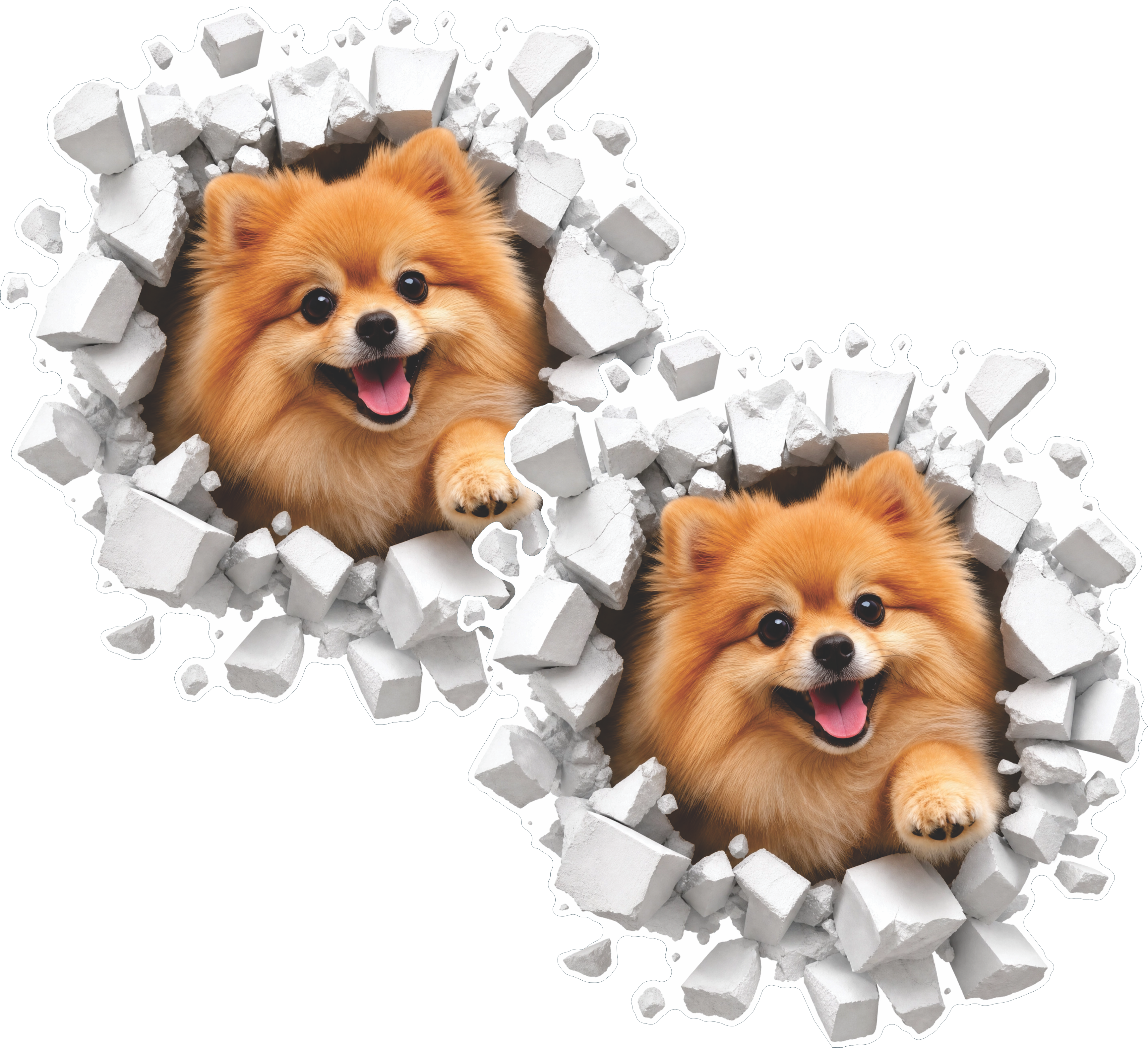 Pomeranian dog breakthrough sticker