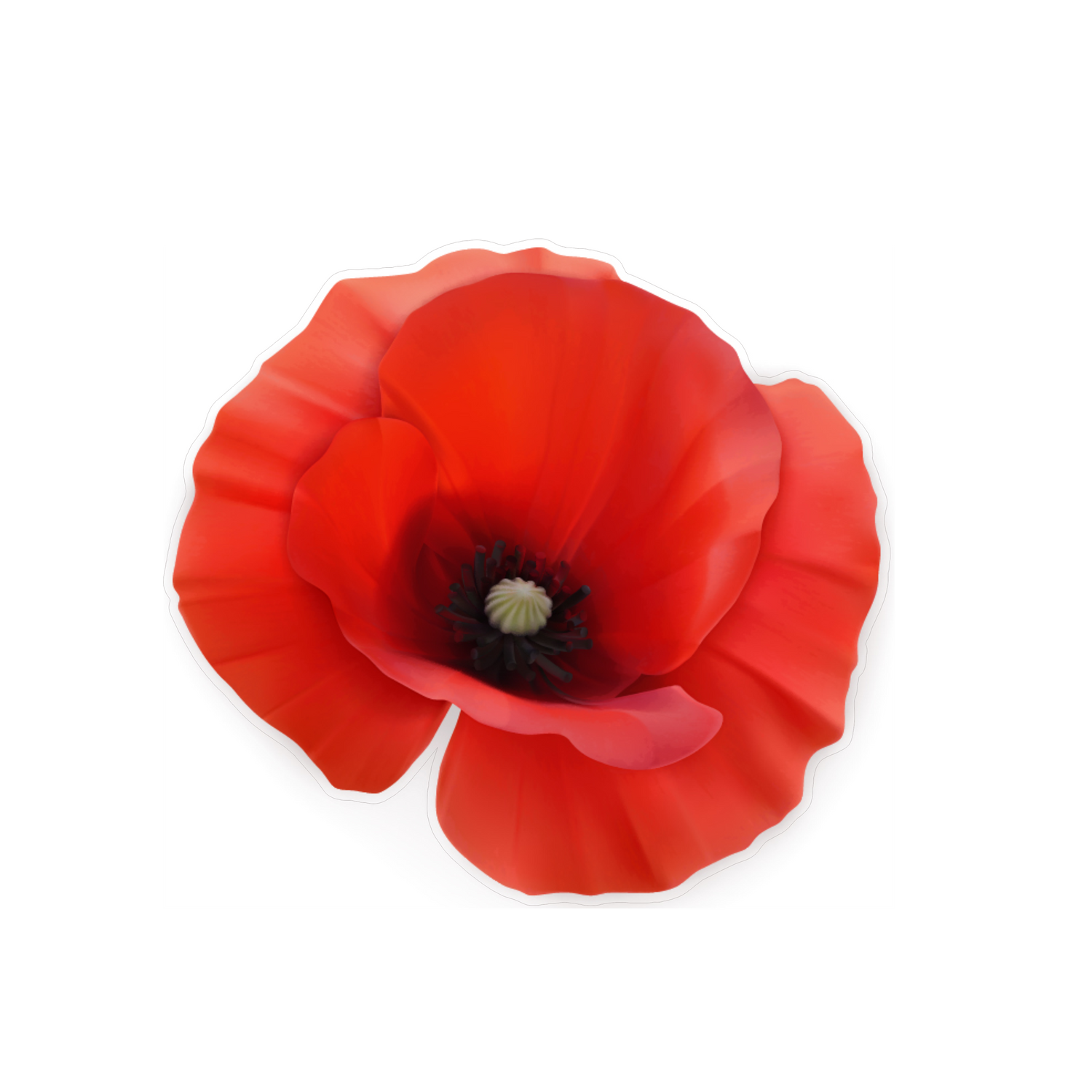 Poppy sticker