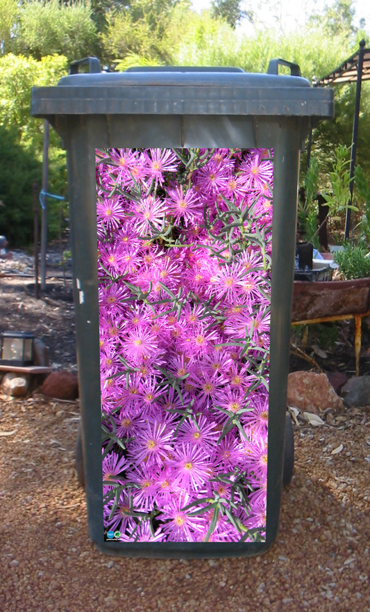 Purple succulents wheelie bin sticker