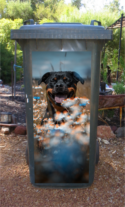 Rottweiler in daisies wheelie bin sticker