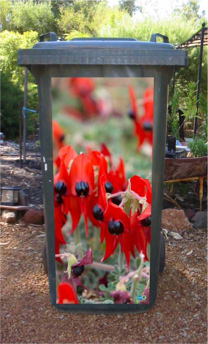 Sturt pea wheelie bin sticker