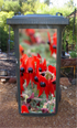 Sturt pea wheelie bin sticker